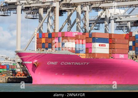 MAASVLAKTE, ROTTERDAM, PAYS-BAS - 17 MARS 2019 : le Containership One Continuity est amarré au terminal Delta à Maasvlakte, Port of Banque D'Images