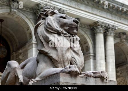 New York, États-Unis ; 4 juin 2023 : patience l'un des lions de marbre gardant la bibliothèque de New York, qui contient une richesse de livres et a été le cadre Banque D'Images