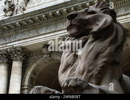 New York, États-Unis ; 4 juin 2023 : forteresse l'un des lions de marbre gardant la bibliothèque de New York, qui contient une richesse de livres et a été le cadre Banque D'Images
