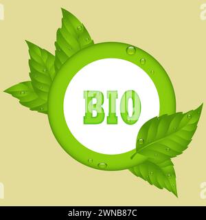 Aliments biologiques, 100% frais, Bio, santé, Eco, bannières naturelles. Élément pour la conception graphique - bannière, affiche, flyer, tag, menu.Eco signe avec texte, vert Banque D'Images