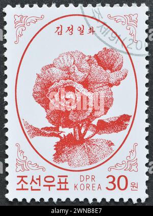 Timbre-poste oblitéré imprimé par la Corée du Nord, qui montre Kimjongilia, vers 2002. Banque D'Images