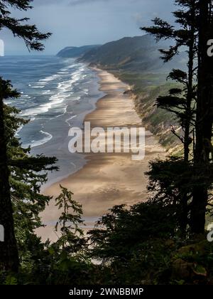 North Beach depuis le sentier Heceta Head au nord de Florence, Oregon. Banque D'Images