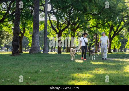 Couple d'âge moyen discutant et marchant avec leurs chiens lévriers dans le parc un après-midi de printemps. Banque D'Images