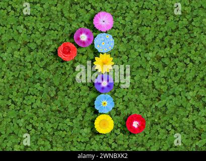 nombre écrit avec des fleurs colorées sur fond de trèfle vert Banque D'Images