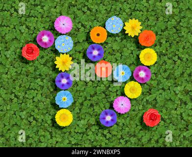 nombre écrit avec des fleurs colorées sur fond de trèfle vert Banque D'Images