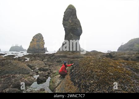 amérindien Sunny Coulson Exploring point of Arches at Shi Shi Beach, Olympic National Park, Washington, États-Unis Banque D'Images