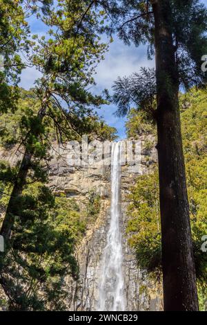 Chutes de Nachi Nachi no Taki à Nachikatsuura, préfecture de Wakayama au Japon deuxième plus haute chute d'eau japonaise à Kumano Kodo Banque D'Images