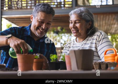 Couple biracial senior aime jardiner ensemble, partager un moment joyeux Banque D'Images
