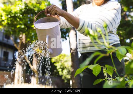 Femme biraciale senior arrose les plantes avec un arrosoir blanc Banque D'Images