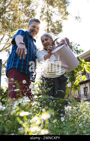 Couple biracial senior aime jardiner ensemble, arroser les plantes au soleil Banque D'Images