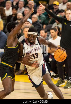 Février 29 2024 San Francisco CA, États-Unis L'attaquant Gonzaga Graham Ike (13 ans) va au panier lors du match de basket-ball masculin de la NCAA entre les Gonzaga Bulldogs et les San Francisco dons. Gonzaga a battu San Francisco 86-68 au Chase Center San Francisco Calif. Thurman James/CSM Banque D'Images