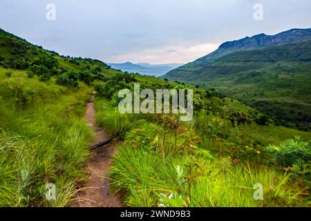 Sentier menant à travers l'herbe verte d'été des prairies Afromontane des montagnes Drakensberg en Afrique du Sud. Les montagnes Drakensberg pour Banque D'Images