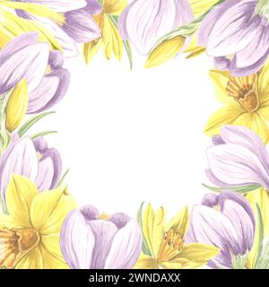 Cadre carré de crocus violets et fleurs de jonquilles jaunes. Illustration isolée à l'aquarelle dessinée à la main des primroses de printemps. Modèle pour la conception Banque D'Images