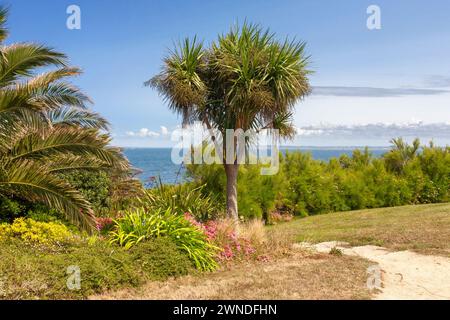 Vue sur la Baie de Morlaix depuis la pointe de Bloscon, Roscoff, Finistère, Bretagne, France Banque D'Images