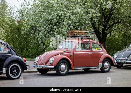 PRAGUE, RÉPUBLIQUE TCHÈQUE - avril 25 : belle voiture VW Beetle d'origine brune vintage lors d'une rencontre automobile historique à Prague, république Tchèque. L'image était ta Banque D'Images