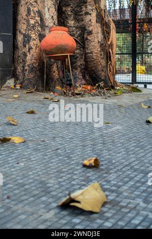 Pot d'argile traditionnel sous le Peepal Tree : offre symbolique dans un temple nord-indien, Uttarakhand. Banque D'Images