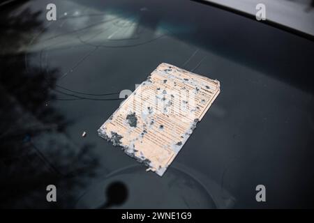 Ein, ehemals, roter Aufkleber zur Aufforderung zur Entfernung eines Fahrzeugs. Ein teilweise zerstörtes, nicht angemeldetes, Auto steht ohne Kennzeichen auf einem öffentlichen Parkplatz AM 01. März 2024 BEI Großbeeren dans le Brandebourg. Kaputtes auto *** A, anciennement, autocollant rouge demandant l'enlèvement d'un véhicule Une voiture partiellement détruite, non immatriculée, se tient sans plaque d'immatriculation dans un parking public le 01 mars 2024 près de Großbeeren dans le Brandebourg voiture cassée Banque D'Images