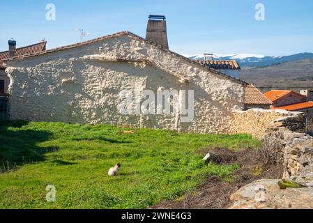 Chat et maison. Madarcos, Province de Madrid, Espagne. Banque D'Images