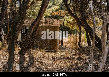 Vieilles toilettes publiques en briques rouges délabrées dans le parc forestier le jour ensoleillé en Corée du Sud Banque D'Images