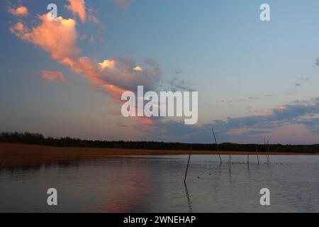 Ambiance nocturne au bord d'un lac avec pièges à pêche, parc national de Mueritz, Mecklembourg-Poméranie occidentale, Allemagne Banque D'Images