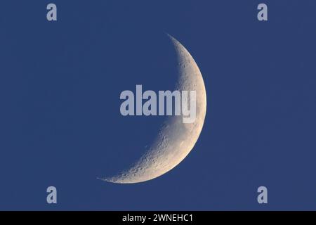 Croissant de lune, lune décroissante, parc naturel Flusslandschaft Peenetal, Mecklembourg-Poméranie occidentale, Allemagne Banque D'Images