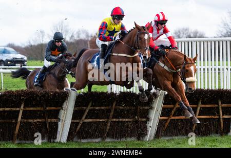 To Chase A Dream prend la haie Get Raceday Ready Maiden sous la direction de M. John Dawson pour l'entraîneur Paul Collins et la propriétaire Mme d W Davenport Banque D'Images