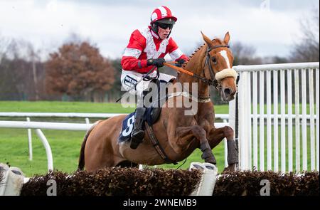 To Chase A Dream prend la haie Get Raceday Ready Maiden sous la direction de M. John Dawson pour l'entraîneur Paul Collins et la propriétaire Mme d W Davenport Banque D'Images