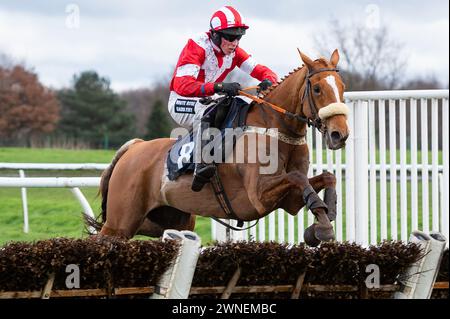 To Chase A Dream prend la haie Get Raceday Ready Maiden sous la direction de M. John Dawson pour l'entraîneur Paul Collins et la propriétaire Mme d W Davenport Banque D'Images