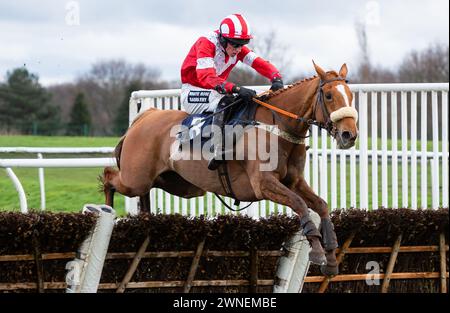 To Chase A Dream prend la haie Get Raceday Ready Maiden sous la direction de M. John Dawson pour l'entraîneur Paul Collins et la propriétaire Mme d W Davenport Banque D'Images