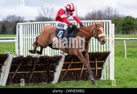 To Chase A Dream prend la haie Get Raceday Ready Maiden sous la direction de M. John Dawson pour l'entraîneur Paul Collins et la propriétaire Mme d W Davenport Banque D'Images