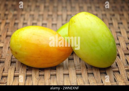 Jujube indien ou BER (Ziziphus mauritiana), Rhamnaceae. Arbre persistant de taille moyenne, fruits tropicaux. Banque D'Images