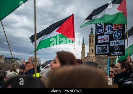 Rallye Pro Palestine à Saragosse, Espagne Banque D'Images