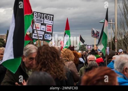 Rallye Pro Palestine à Saragosse, Espagne Banque D'Images