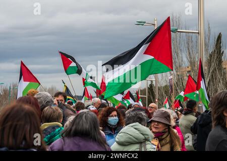 Rallye Pro Palestine à Saragosse, Espagne Banque D'Images