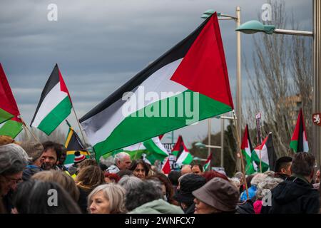 Rallye Pro Palestine à Saragosse, Espagne Banque D'Images