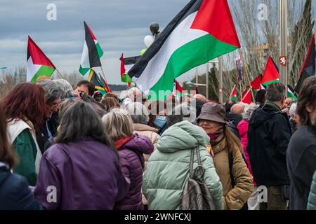 Rallye Pro Palestine à Saragosse, Espagne Banque D'Images