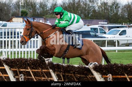 Sunday Soldier et jockey Richie McLernon remportent le Get the Inside Track avec Raceday-Ready.com Mares's handicap Hurdle pour les entraîneurs David Killahena & Graeme McPherson et les propriétaires 4 Left Footers & A Blewnose Banque D'Images