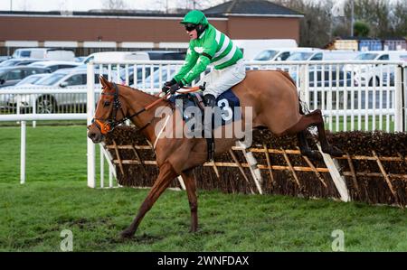 Sunday Soldier et jockey Richie McLernon remportent le Get the Inside Track avec Raceday-Ready.com Mares's handicap Hurdle pour les entraîneurs David Killahena & Graeme McPherson et les propriétaires 4 Left Footers & A Blewnose Banque D'Images