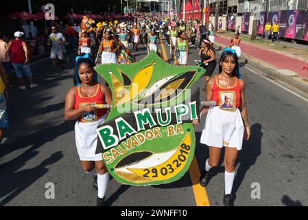 Salvador, Bahia, Brésil - 03 février 2024 : un groupe culturel parcourt pendant le pré-carnaval Fuzue dans la ville de Salvador, Bahia. Banque D'Images