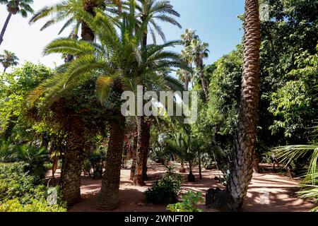 Marrakech, Maroc - 27 mai 2019 - vue de terrasse Majorelle sur Marrakech, Maroc Banque D'Images