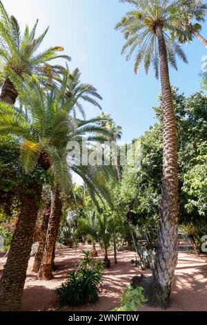 Marrakech, Maroc - 27 mai 2019 - vue de terrasse Majorelle sur Marrakech, Maroc Banque D'Images