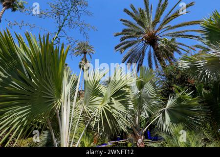 Marrakech, Maroc - 27 mai 2019 - vue de terrasse Majorelle sur Marrakech, Maroc Banque D'Images