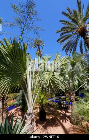 Marrakech, Maroc - 27 mai 2019 - vue de terrasse Majorelle sur Marrakech, Maroc Banque D'Images