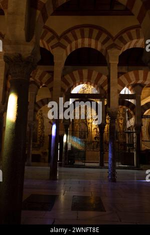 Mosquée / Cathédrale de Cordoue éclats de couleur sur certains des piliers de pierre et grille de sécurité de l'une des chapelles funéraires chrétiennes et tombes insi Banque D'Images