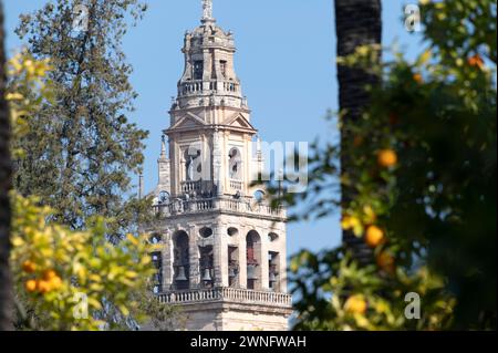 À travers un trou des orangers amers est le clocher qui fait partie de la mosquée / cathédrale dans la ville historique de Cordoue en Andalousie dans le sud Banque D'Images