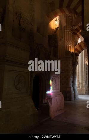 Mosquée / Cathédrale de Cordoue éclats de couleur sur certains des piliers de pierre et grille de sécurité de l'une des chapelles funéraires chrétiennes et tombes insi Banque D'Images