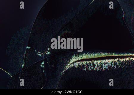 le fond de texture se fissure sur l'écran cassé d'un affichage à cristaux liquides, d'un moniteur d'ordinateur ou d'une télévision Banque D'Images