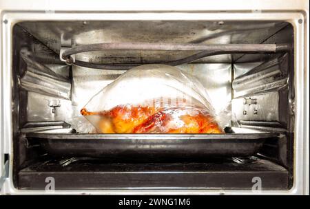 canard cuit dans un sac sous vide pour cuire dans un vieux four électrique gros plan Banque D'Images