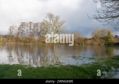 2 mars 2024. Après le mois de février le plus chaud jamais enregistré en Angleterre et au pays de Galles, et le mois de février le plus humide jamais enregistré dans le sud de l'Angleterre, il y a beaucoup d'inondations dans certaines parties du Berkshire. Sur la photo : champs inondés près de la rivière Lodden à Shinfield, Berkshire, Angleterre, Royaume-Uni. Les précipitations extrêmes sont plus fréquentes et plus intenses en raison des changements climatiques causés par l'homme, car un air plus chaud peut contenir plus de vapeur d'eau. Banque D'Images