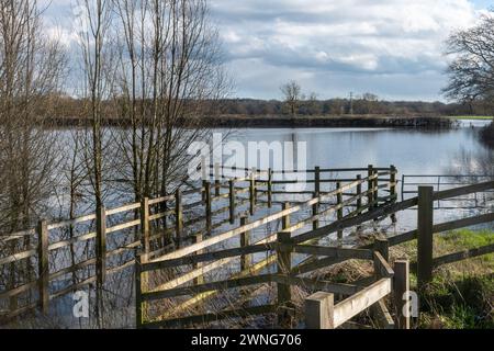 2 mars 2024. Après le mois de février le plus chaud jamais enregistré en Angleterre et au pays de Galles, et le mois de février le plus humide jamais enregistré dans le sud de l'Angleterre, il y a beaucoup d'inondations dans certaines parties du Berkshire. Sur la photo : champs inondés près de la rivière Lodden à Shinfield, Berkshire, Angleterre, Royaume-Uni. Les précipitations extrêmes sont plus fréquentes et plus intenses en raison des changements climatiques causés par l'homme, car un air plus chaud peut contenir plus de vapeur d'eau. Banque D'Images